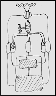 drawing: step 7